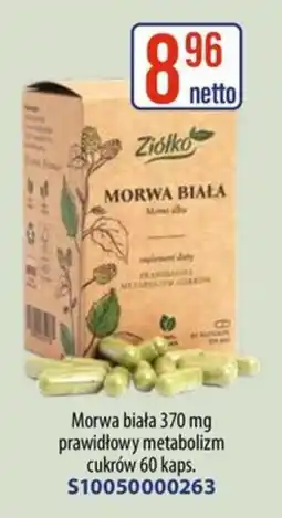 AT Ziółko Morwa biała oferta