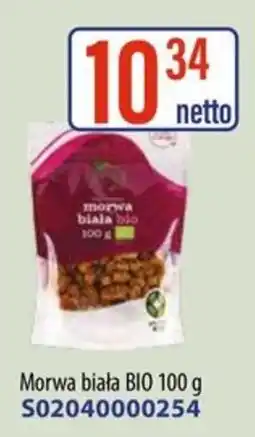 AT Morwa biała BIO oferta