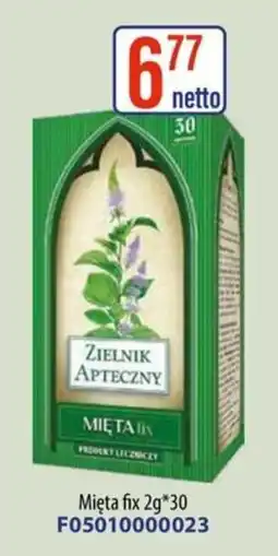 AT Mięta fix oferta