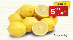 Spiżarnia Smakosza Cytryna oferta