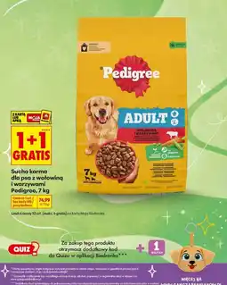 Biedronka Sucha karma dla psa z wołowiną i warzywami Pedigree oferta