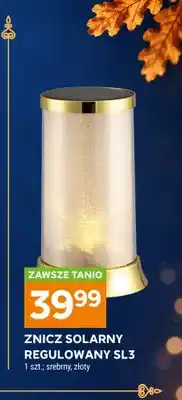 Stokrotka Znicz solarny regulowany SL3 oferta