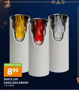 Stokrotka Znicz LED ASSU/2AA Dekor oferta
