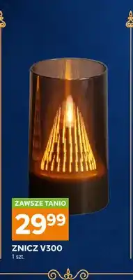 Stokrotka Znicz V300 oferta