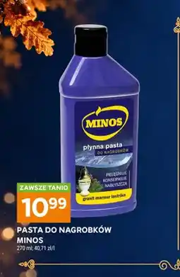 Stokrotka Pasta do nagrobków Minos oferta