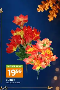 Stokrotka Bukiet oferta