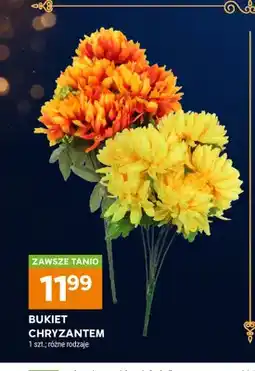 Stokrotka Bukiet chryzantem oferta