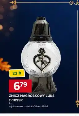 Stokrotka Znicz nagrobkowy Luks T-109SR 22h oferta