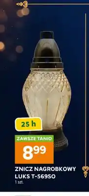 Stokrotka Znicz nagrobkowy Luks T-569SO oferta