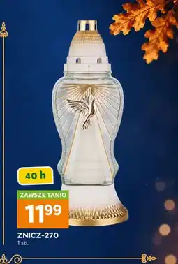 Stokrotka Znicz-270 40h oferta