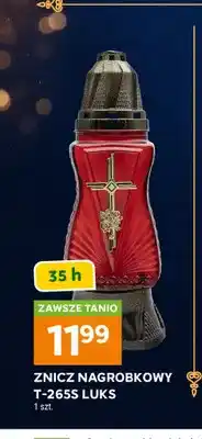 Stokrotka Znicz nagrobkowy T-265S Luks oferta