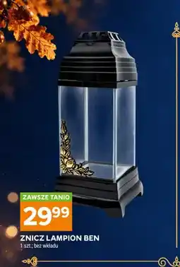 Stokrotka Znicz lampion Ben bez wkładu oferta
