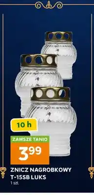 Stokrotka Znicz nagrobkowy T-15SB Luks oferta
