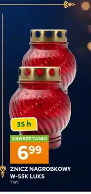 Stokrotka Znicz nagrobkowy W-55K Luks oferta
