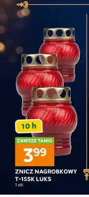 Stokrotka Znicz nagrobkowy T-15SK Luks oferta