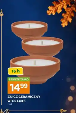 Stokrotka Znicz ceramiczny W-C5 Luks oferta