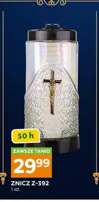 Stokrotka Znicz Z-392 oferta