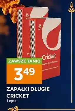 Stokrotka Zapałki długie Cricket oferta
