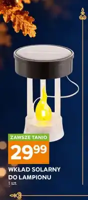 Stokrotka Wkład solarny do lampionu oferta