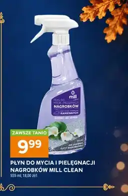 Stokrotka Płyn do mycia i pielęgnacji nagrobków Mill Clean oferta
