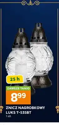 Stokrotka Znicz nagrobkowy Luks T-535BT oferta