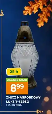 Stokrotka Znicz nagrobkowy Luks T-569SG oferta