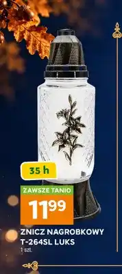 Stokrotka Znicz nagrobkowy T-264SL Luks oferta