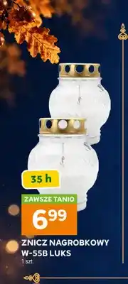 Stokrotka Znicz nagrobkowy W-55B Luks oferta
