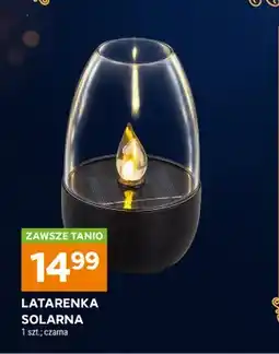 Stokrotka Latarenka solarna oferta