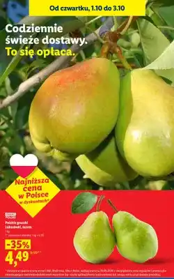 Lidl Gruszki polskie Lukasówki luzem oferta