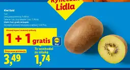 Lidl Kiwi Gold Ryneczek Lidla oferta