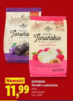 Lidl Pierniki Toruńskie w czekoladzie z nadzieniem o smaku śliwkowym Kopernik oferta