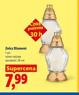 Lidl Znicz Diament 24 cm oferta