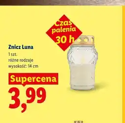 Lidl Znicz Luna 14 cm oferta