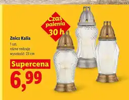 Lidl Znicz Kalia 23 cm oferta