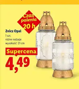 Lidl Znicz Opal 21 cm oferta