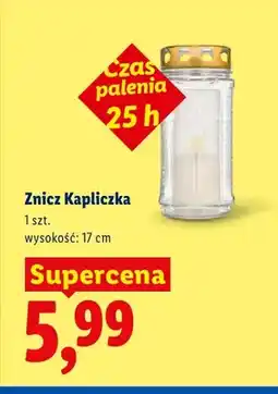 Lidl Znicz Kapliczka 17 cm oferta