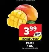Delfin Mango oferta