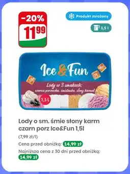 Dino Lody o smaku śmietanka słony karmel czarna porzeczka Ice & Fun oferta