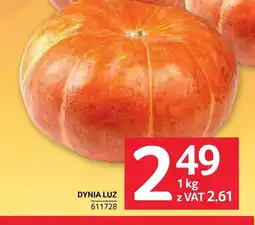 Selgros Dynia oferta