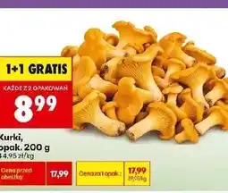 Biedronka Kurki oferta