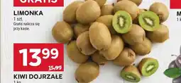 Stokrotka Market Kiwi oferta