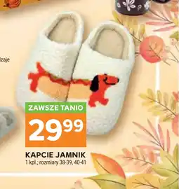 Stokrotka Kapcie oferta