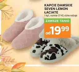 Stokrotka Kapcie Łaciate oferta