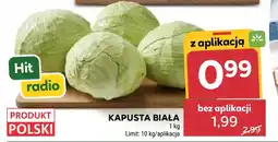 Stokrotka Kapusta biała Hit oferta