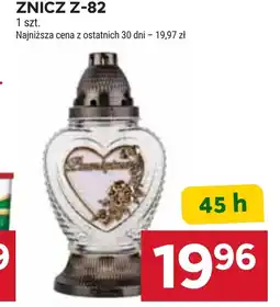 Stokrotka Znicz oferta