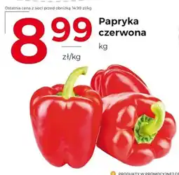 Frac Papryka czerwona oferta