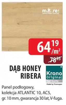 DDD Dąb Honey Ribera oferta