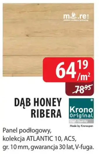 Dąb Honey Ribera