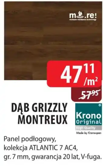 Dąb Grizzly Montreux
